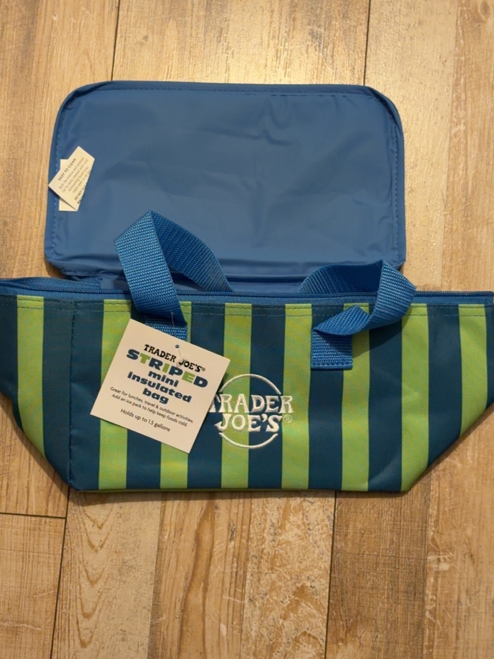Trader Joe’s Blue & Green Striped Insulated Mini Tote
